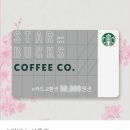 나니파스타 | 안동 송현동 /옥동 원룸 전단지 작업을 다녀오다