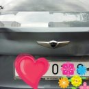 슈퍼덴트칼라 이미지