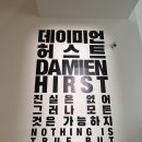 신명나는 삶을 위하여 | 국립현대미술관 서울 데이미언 허스트 전시 후기 (다소 충격적 호불호 + 예매·오디오가이드)