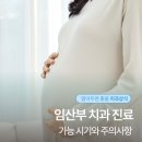 제주아나픈치과의원 | 임산부 치과진료 받아도 되나요? 신제주치과추천 노형큐치과의원