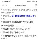 바다멋쟁이