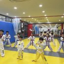 용인대 아이스타 태권도장 | 고운동 용인대스타태권도장 ㅣ 국기원 승품·단심사 이야기