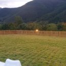 독채 애견스테이 이미지