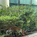 광진365플러스약국 이미지