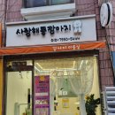 사랑해똥깡아지 | [연신내 애견미용] 사랑해똥깡아지에서 1:1맞춤형 비숑 미용한 후기