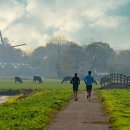 서울일등재활의학과의원 이미지