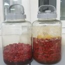 홍은농장 이미지