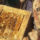 고래골농장 이미지