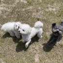 송산유치원 이미지