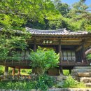 2051 | 안동 체화정 조선시대 정자 보물 제2051호 경북 여행지 안동 가볼만한 곳