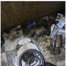 수원-1551 이미지