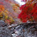 피아골 단풍공원 이미지