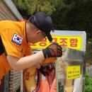 인명구조함 이미지