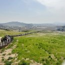 새한개량한우목장 | 서산 목장길 데이트 갈만한곳 한우웰빙산책로 소요시간 주차 꿀팁