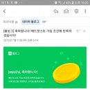 팀애드