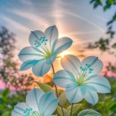 소소한하루 이미지