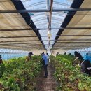 거제시농업기술센터 이미지