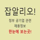 알리오네 이미지