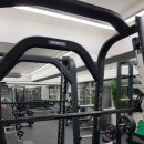 피티몽키위드레몬 이미지