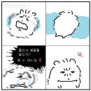 솔아재 | 강릉 솔게하 다녀왔어요~~~~ 묵호 야호~!
