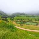 아리랑마을관광지 | [남도 여행] 진도 아리랑마을관광지 아리랑체험관 홍주촌 장미공원 둘러보기