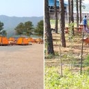 철원 평화마을 유곡 캠핑장 네이버블로그