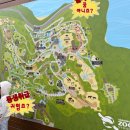 화남파출소 맞은편(엘리베이터) | 🇦🇺12월 호주 시드니 여행 4편-타롱가주 동물원(입장권 저렴하게 구매하는 방법, 타롱가 주 푸드코트 후기)