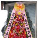 송연 이미지