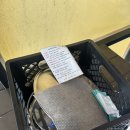 아기강아지 | [경남/밀양] 밀양 가온빌리지 글램핑 B동 후기｜아기·강아지 동반 여행