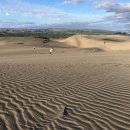 모래언덕 이미지