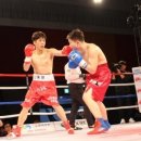 마블 복싱 스퀘어 이미지