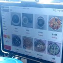 의성식당 | 의성 안계 식당 하림각 후기