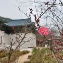 생토