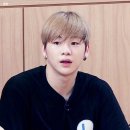 파레트 이미지