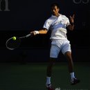 2011 US Open Tennis Men's Singles FiNAL 이미지