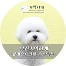 기억하개 이미지