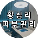 [일상] 왕십리 셀스테틱 스킨&amp;바디, 왕십리 피부관리 파동테라피 관리 후기