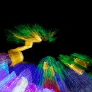 아침고요수목원 명품나무 (2022.12.15)