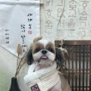 까까멍멍 이미지