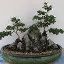 제천제일고등학교 이미지