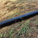 베드로농장 이미지