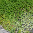 홍련봉공원 이미지