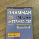 grammer in use intermediate 문법책 이미지