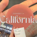 Beauty in Dog's | 셀레나고메즈 Rare Beauty 레어뷰티 블러셔 전색상 비교 후기