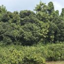 공원마을2길39 이미지