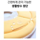 피부야놀자 - 동구 남문로693번길 12-6 | 고양이넥카라, 강아지넥카라, 여름넥카라로 추천하는 개놀자 플라워 넥카라 사용후기
