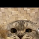 타고나헤어