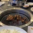 돈맛골 | [웰컴 투 돈맛골] - 돼지갈비 맛집 / 충주 돼지갈비 / 내 돈 주고 사 먹은 후기