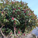 다숲민박 이미지