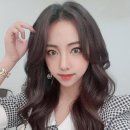 플렌에이치